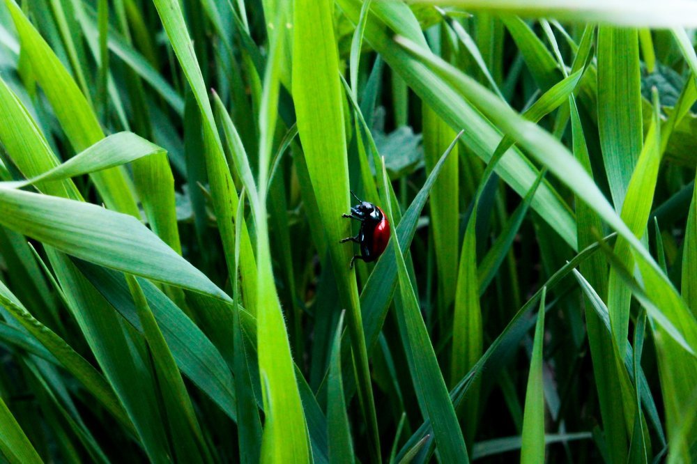 Photograph by Артём Тыщенко