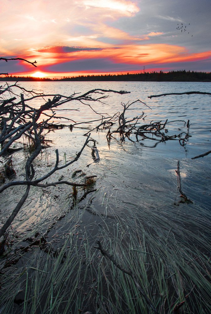 Упоённый солнцем