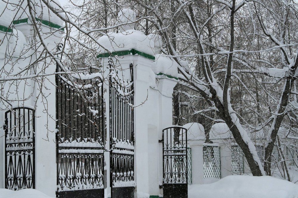 Университетская роща. Томск