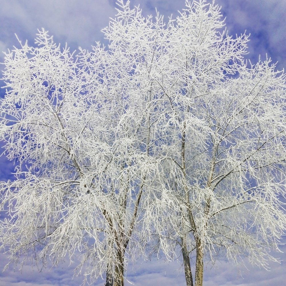 Photograph by Виктория Жуковская