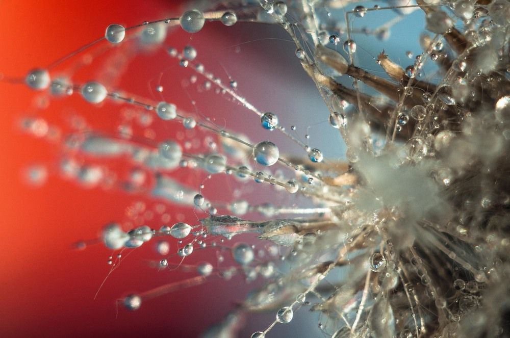 Photograph by Максим