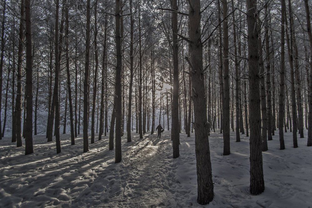 Photograph by Елена Баландина