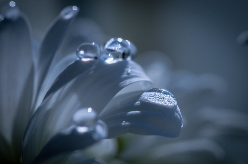 Фотография автора Константин Яковлев