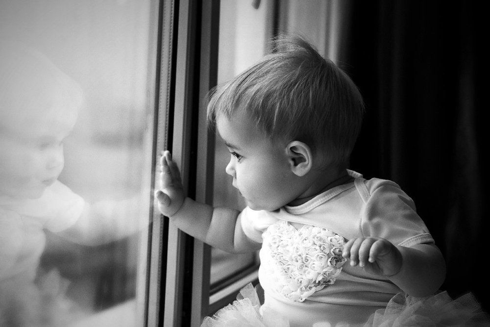 Большой мир за окном