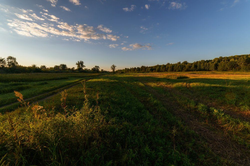 Фотография автора Алексей Ковалев