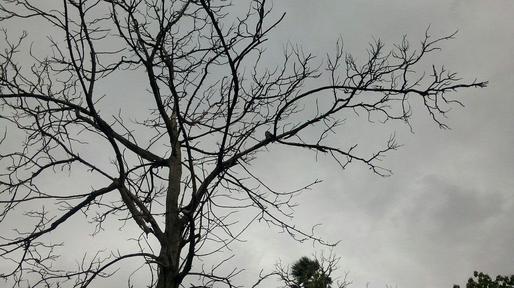 Earth looking to sky