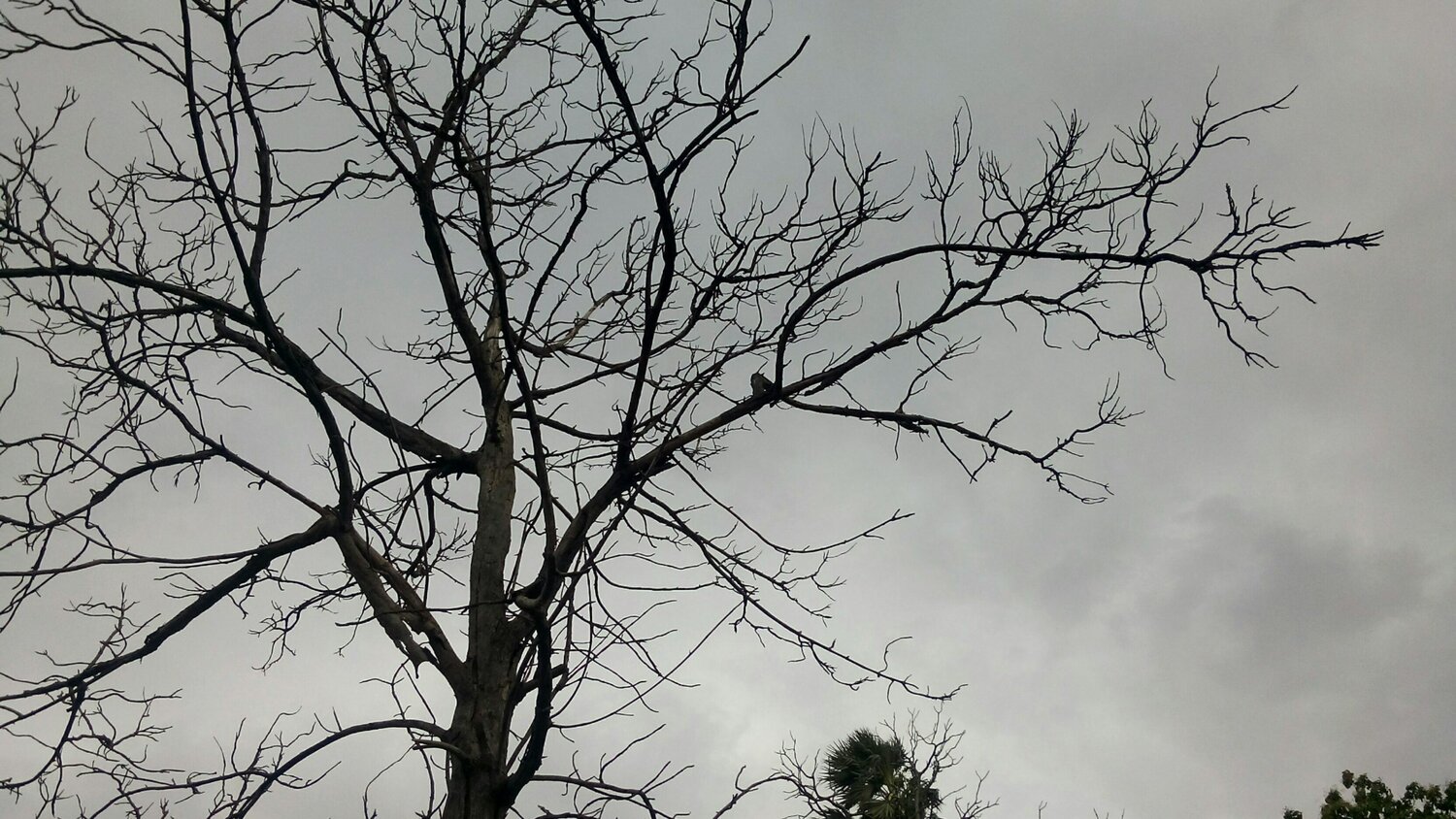 Earth looking to sky