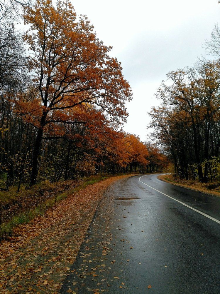 Новый поворот