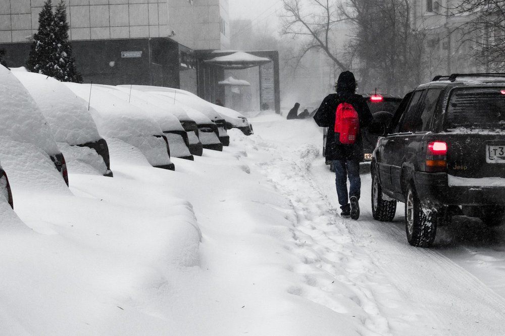 Photograph by Галина Суркова