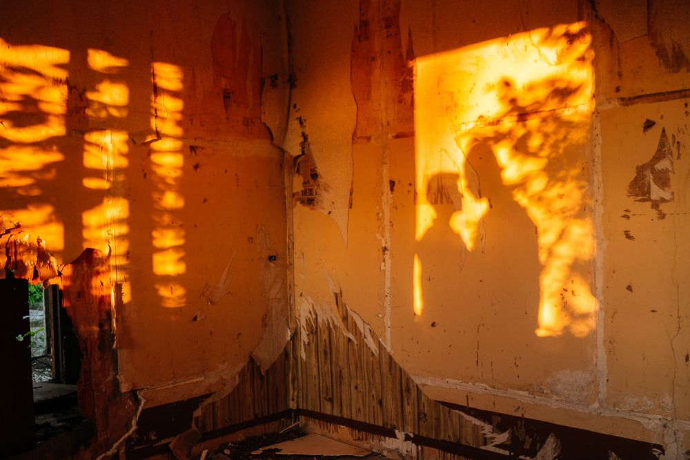 Photograph by Городничева Елена