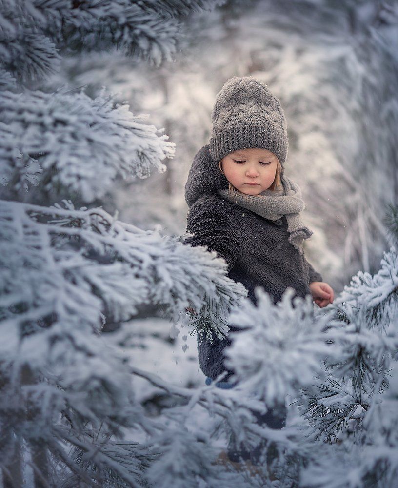 В зимнем лесу