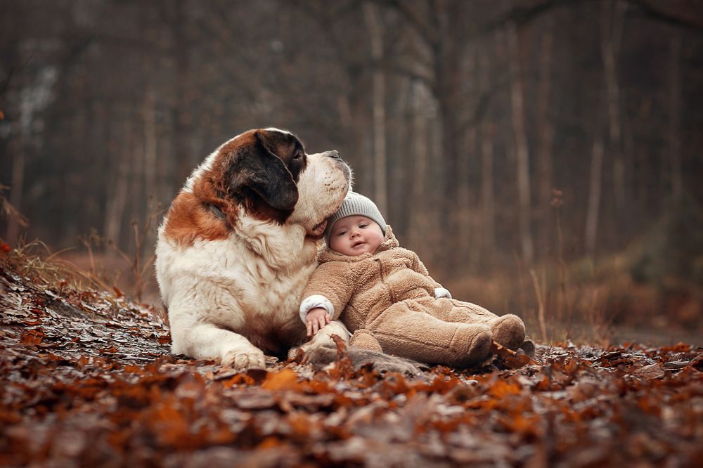 Лучший друг