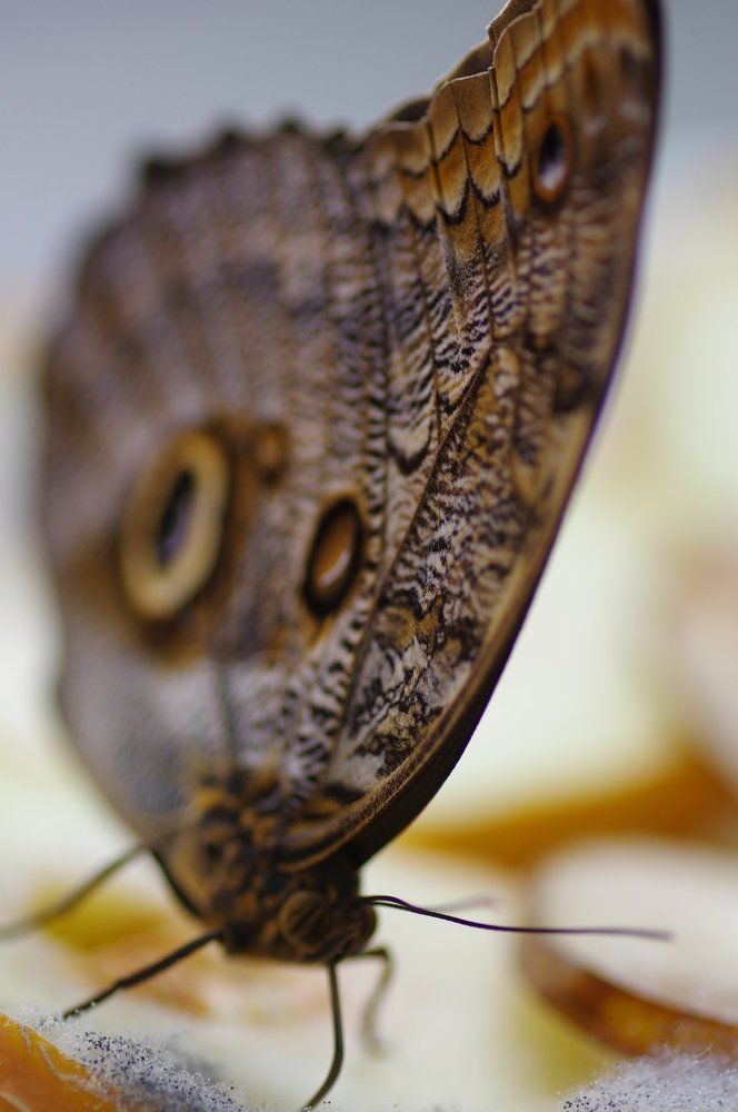 Photograph by Александр Русак