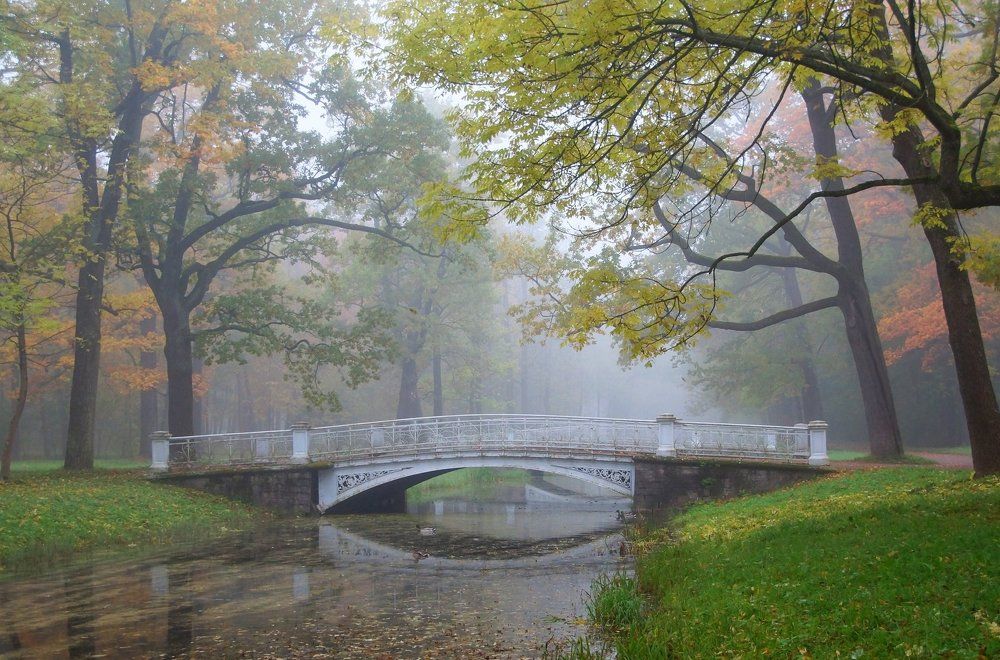 Осеннее утро