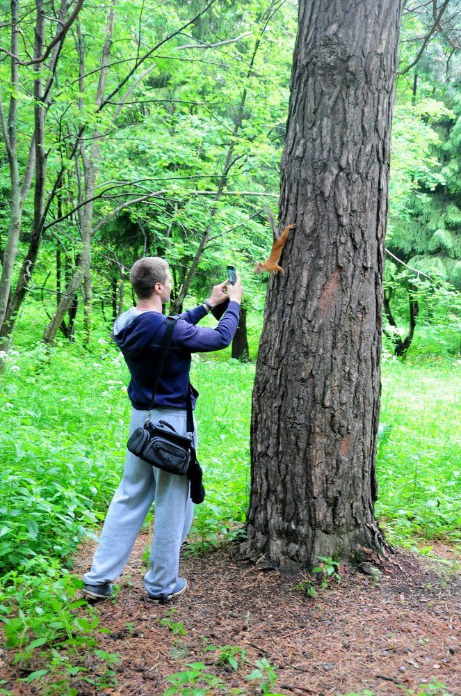 Любопытство маленького зверька