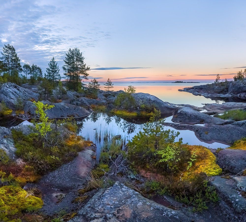 Ладожский бонсай