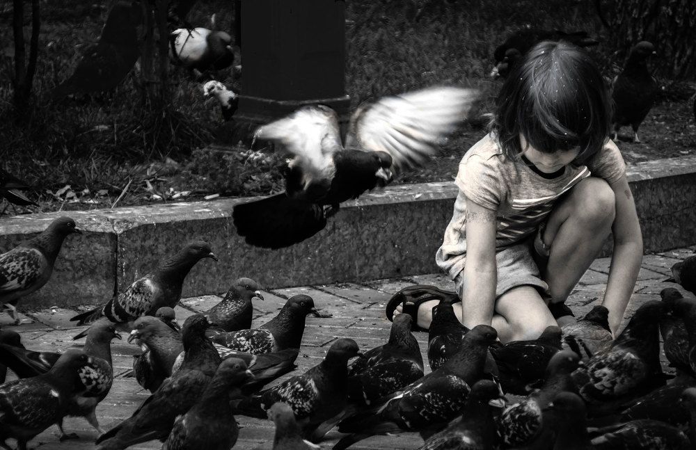 Девочка и голуби