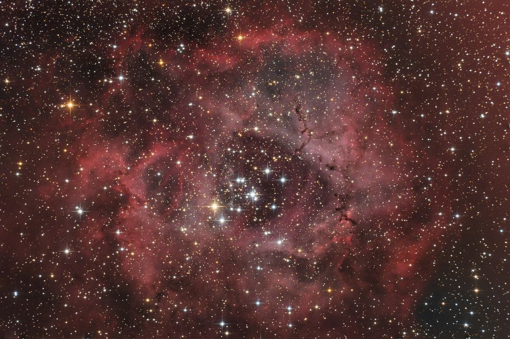 The Rosette Nebula