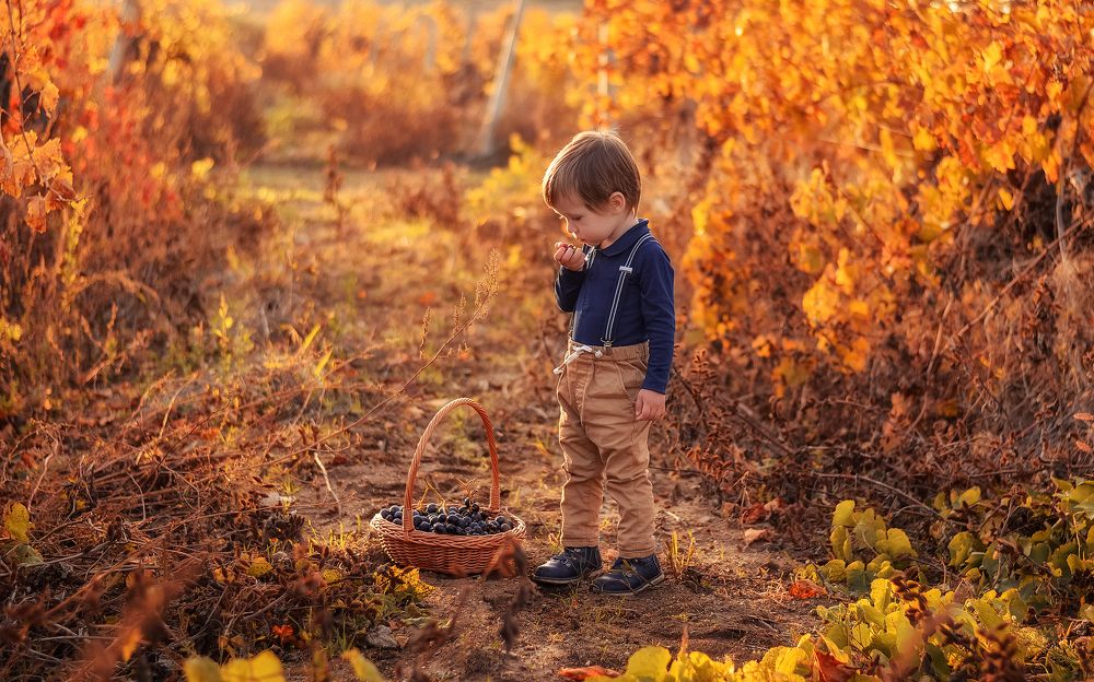 Вкуснее винограда нет!