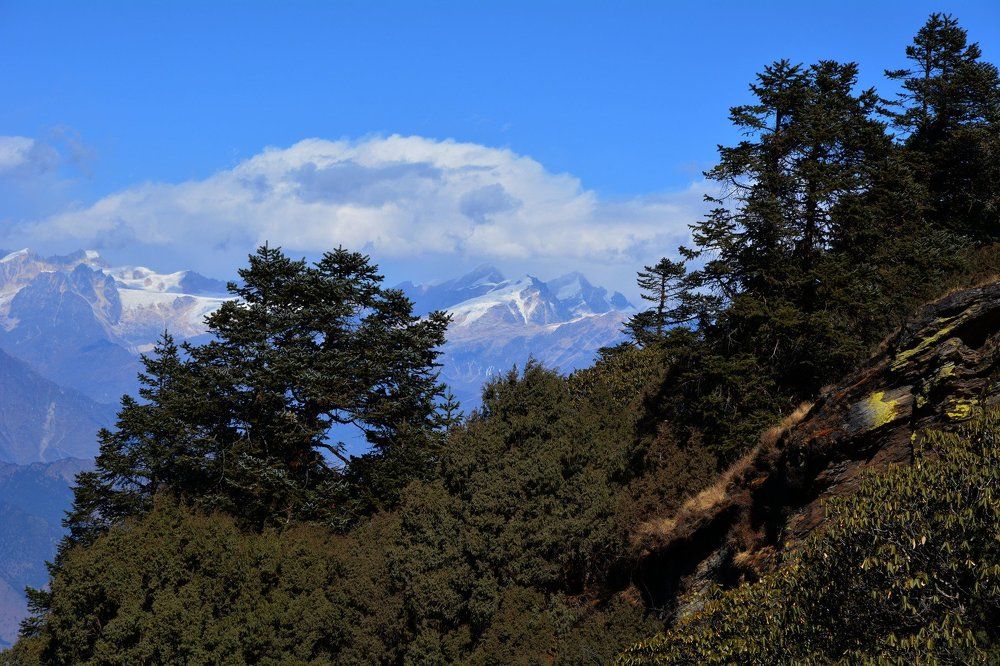 Чуть дальше...