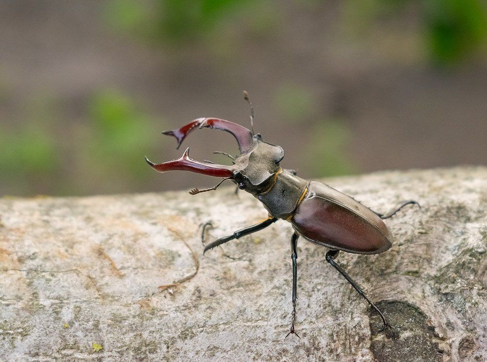 Photograph by Никанорова Ольга