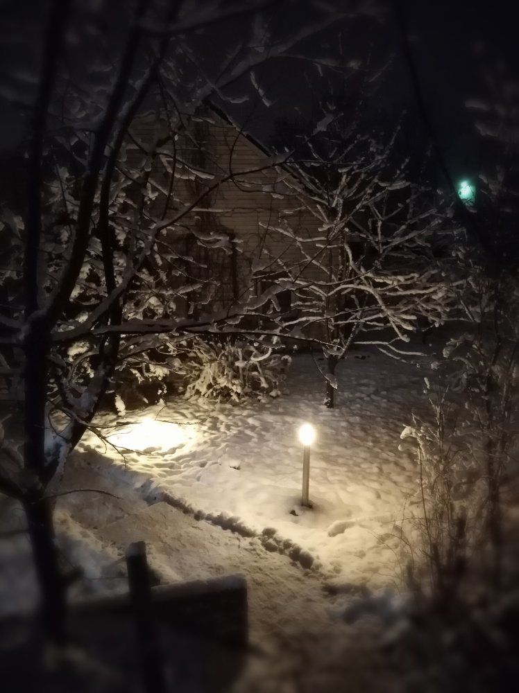 Зимний дворик