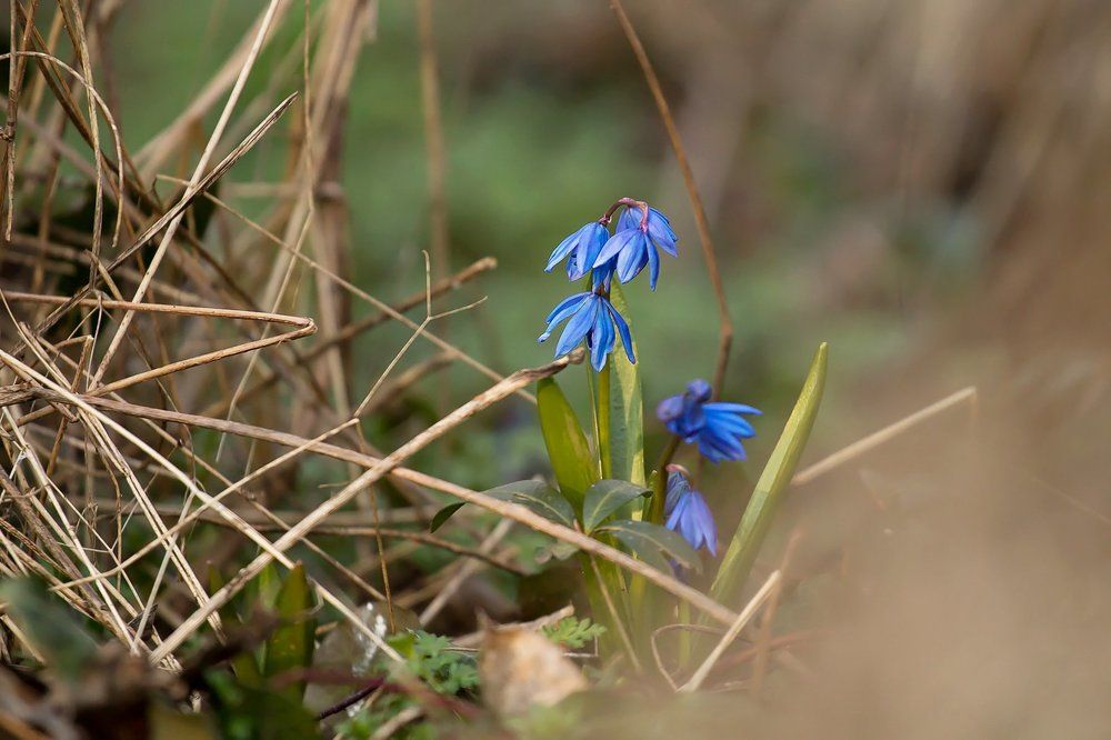 Photograph by Станислава Войцеховская