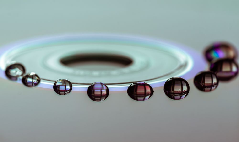 Фотография автора Константин Яковлев