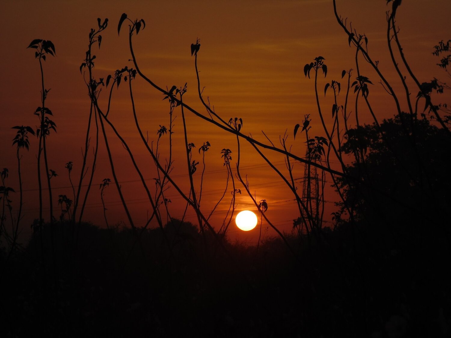 Sunrise