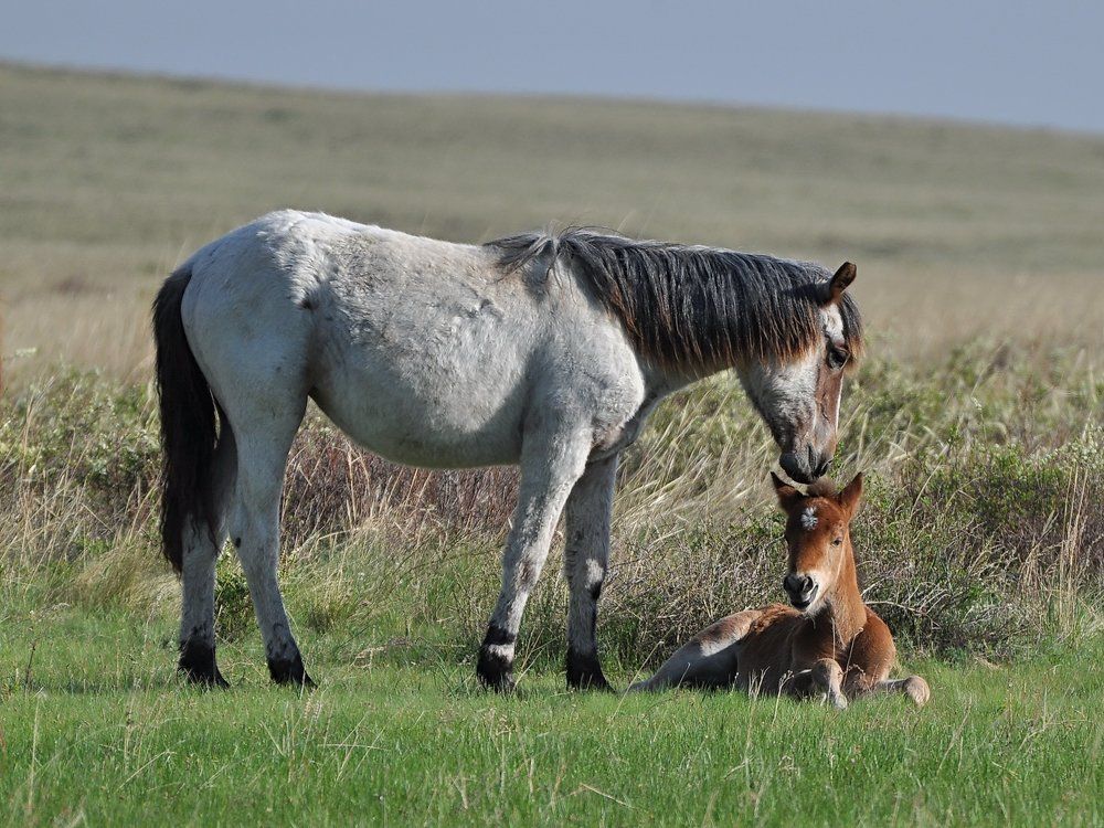 Photograph by Евгений Дроботенко