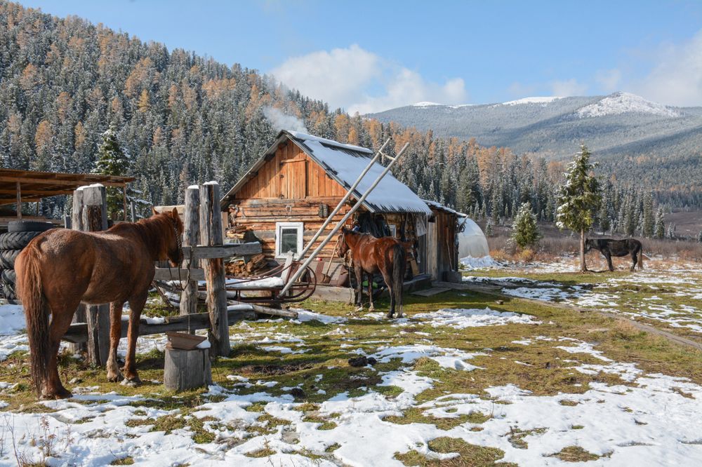 Photograph by Щербакова Галина