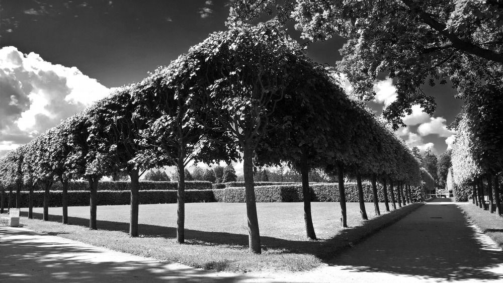 Photograph by Раиса