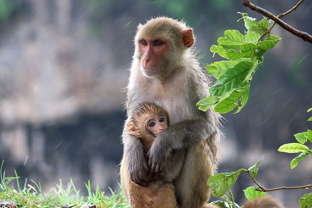 A mother’s arms are the most safest place for every child