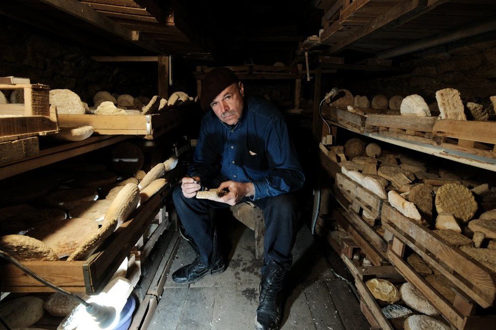 Сырный король