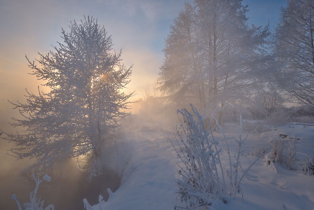 Встречая зимние рассветы.
