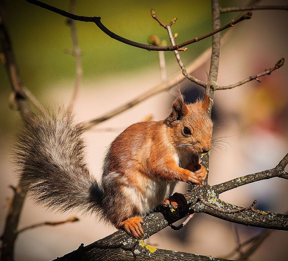 Photograph by Михайлов Семен