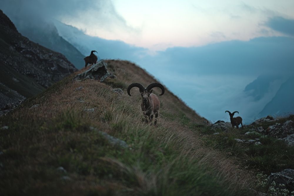 Облака поглотят долину