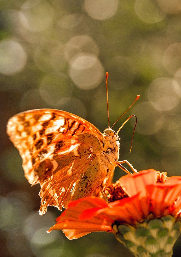 ...Выше нас...