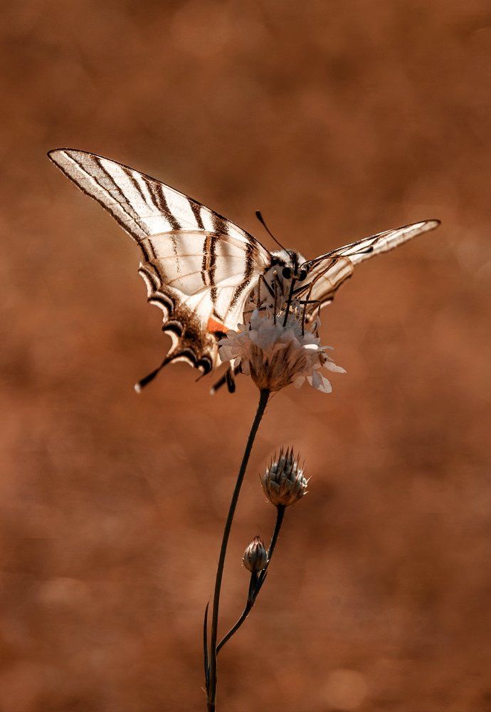 Синхронизация