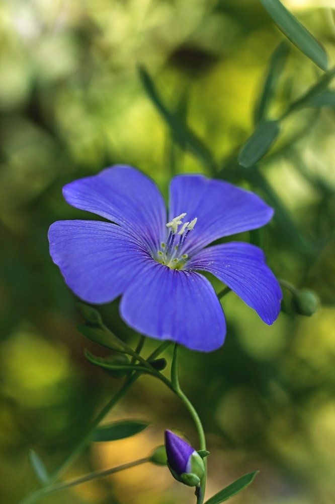 Photograph by Victor Pruhnitskiiy