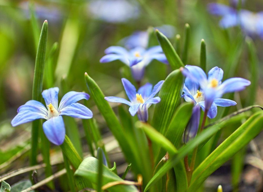 Photograph by Victor Pruhnitskiiy