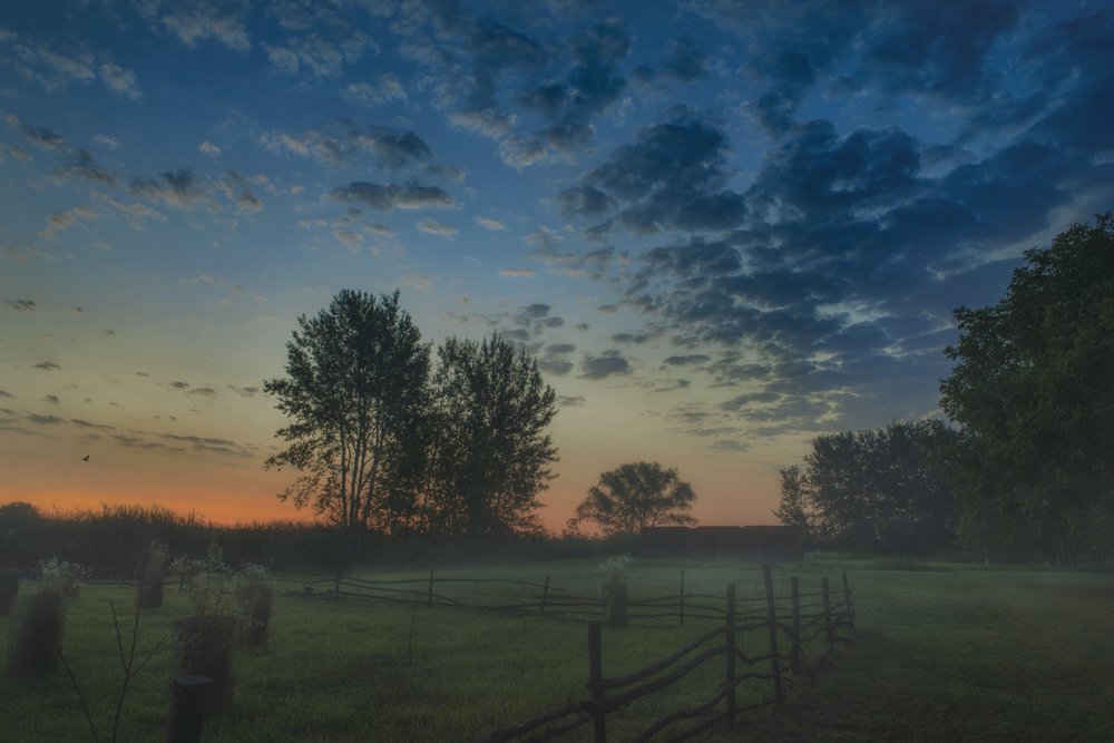 На встречу дню (To meet the day)