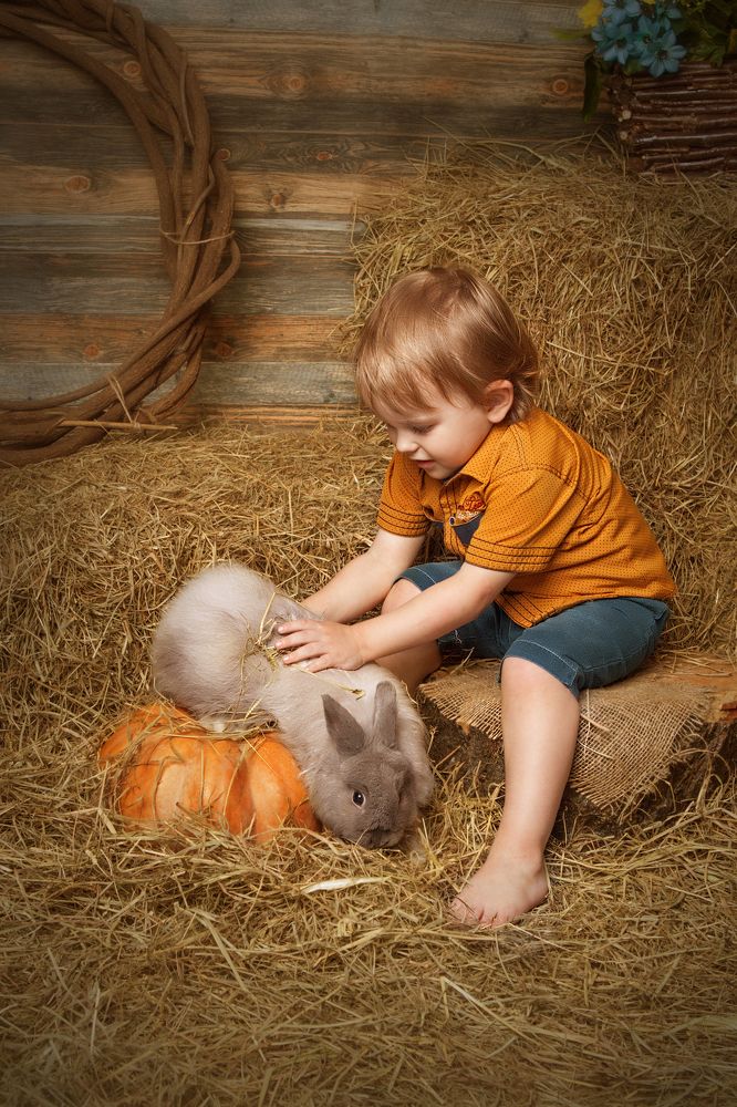 Пасхальный кролик