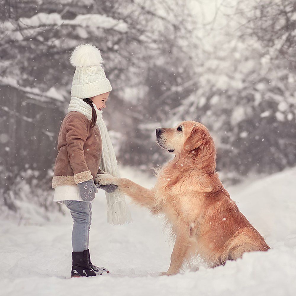 Photograph by Елена Позднякова