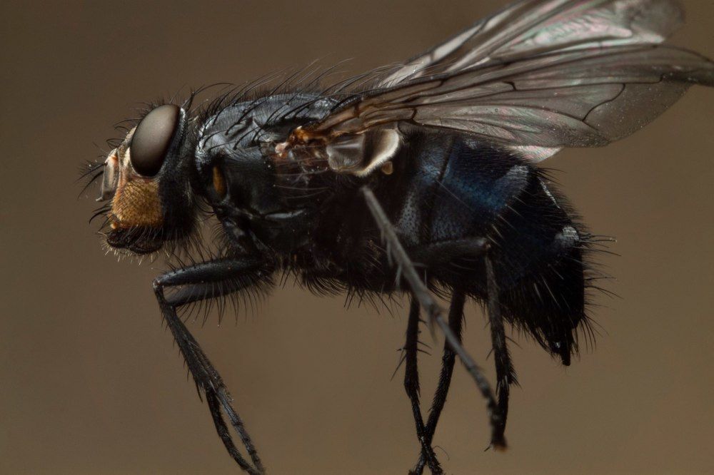 Photograph by Игорь Кожевников