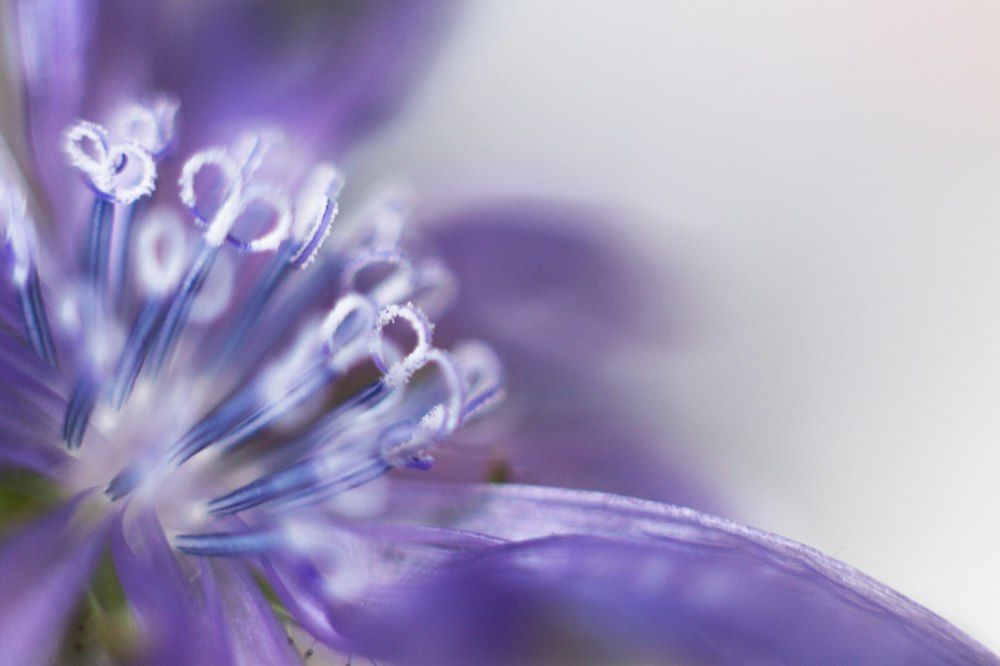 Photograph by Игорь Кожевников