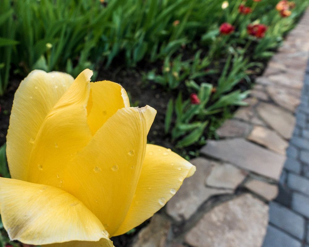 После дождя