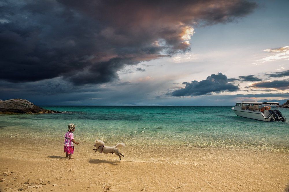 Сын капитана