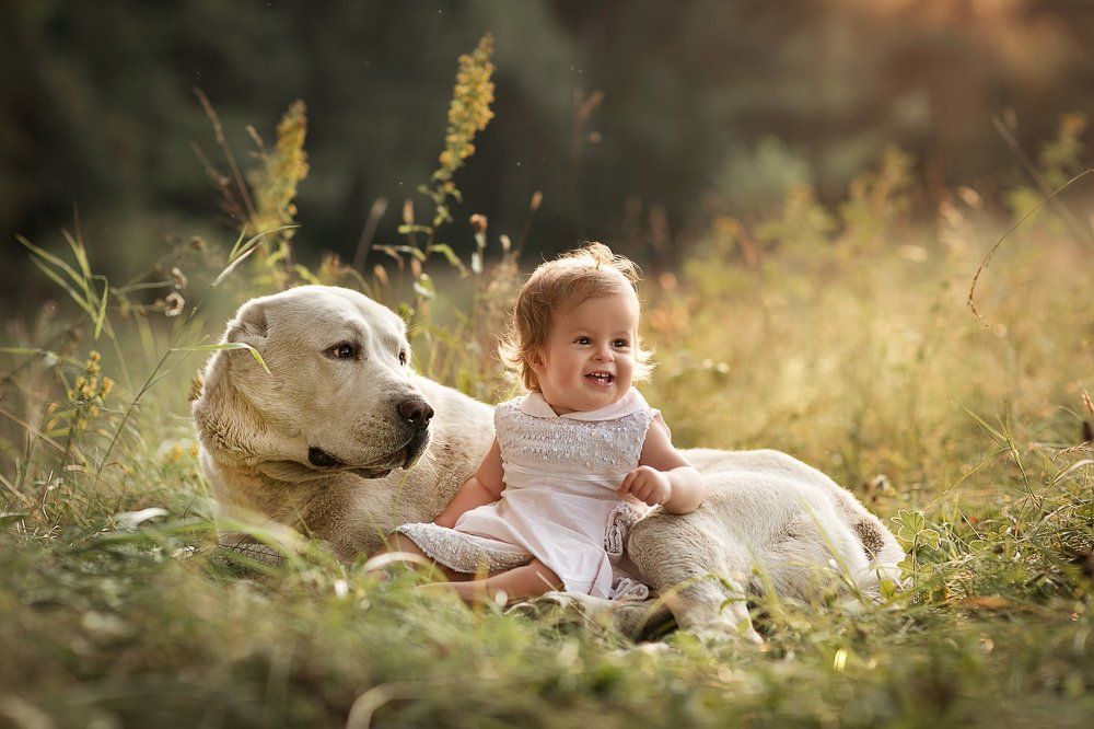 Лучший друг