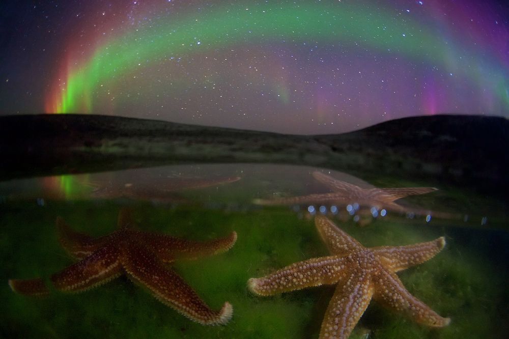 Звезды двух миров